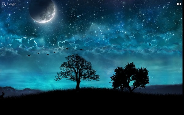 Kısa Gece Sözleri