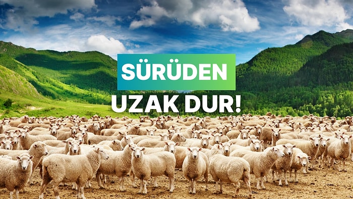 Yatırımda Sürü Psikolojisi Nasıl Olur? Sürü Psikolojisinden Kaçınmanın Yolları